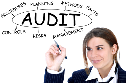 Audit Services